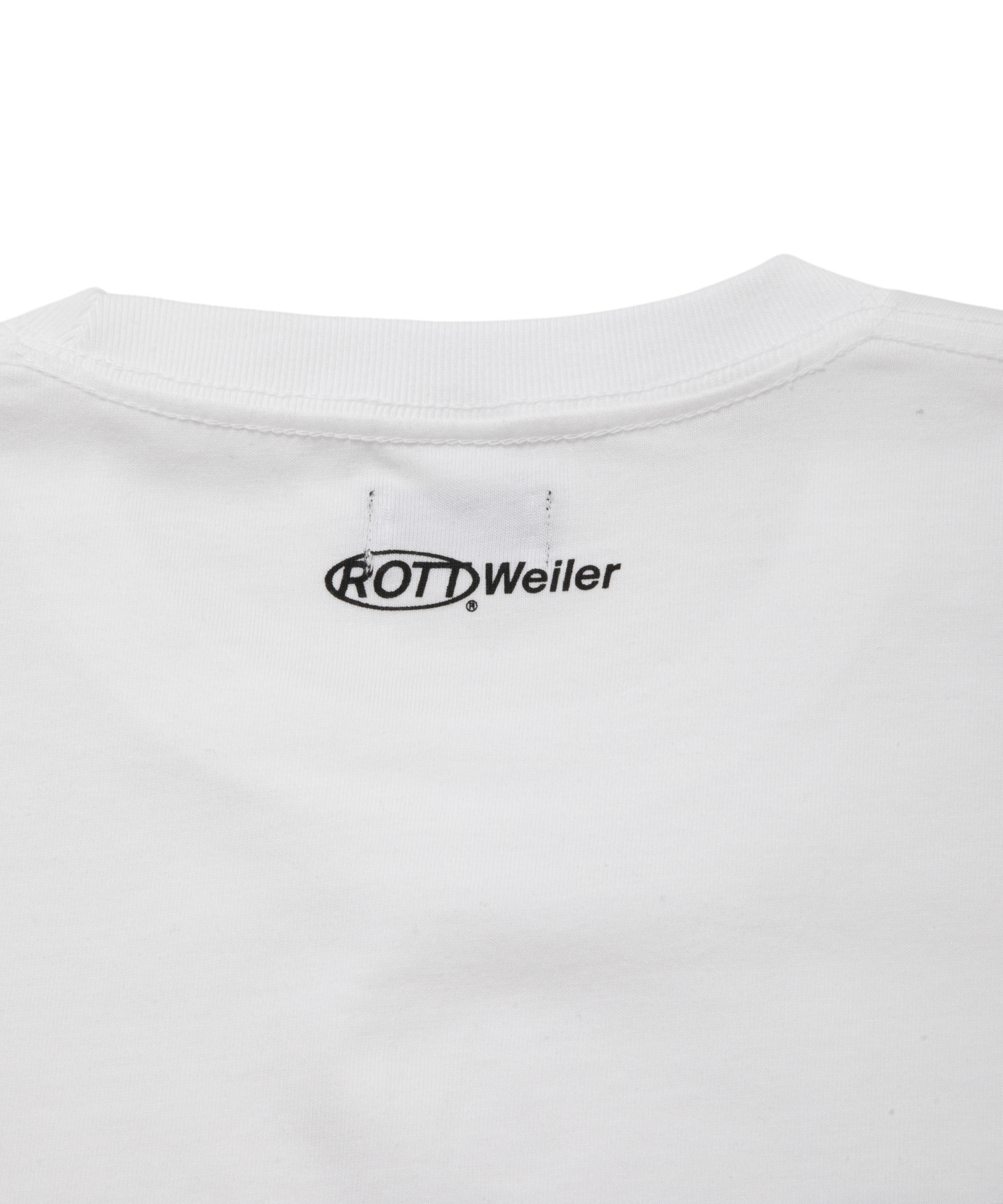 COLLEGE LS TEE 商品写真 4