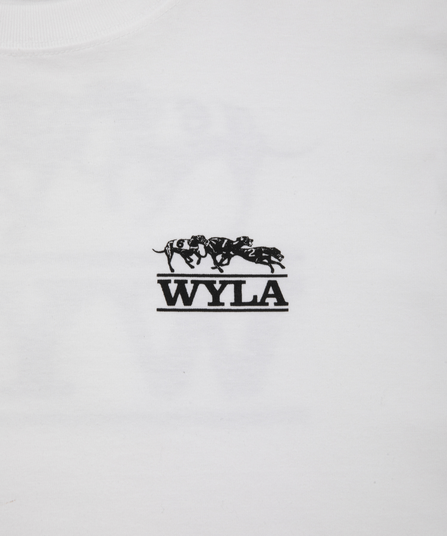 DOG TEE 商品写真 6