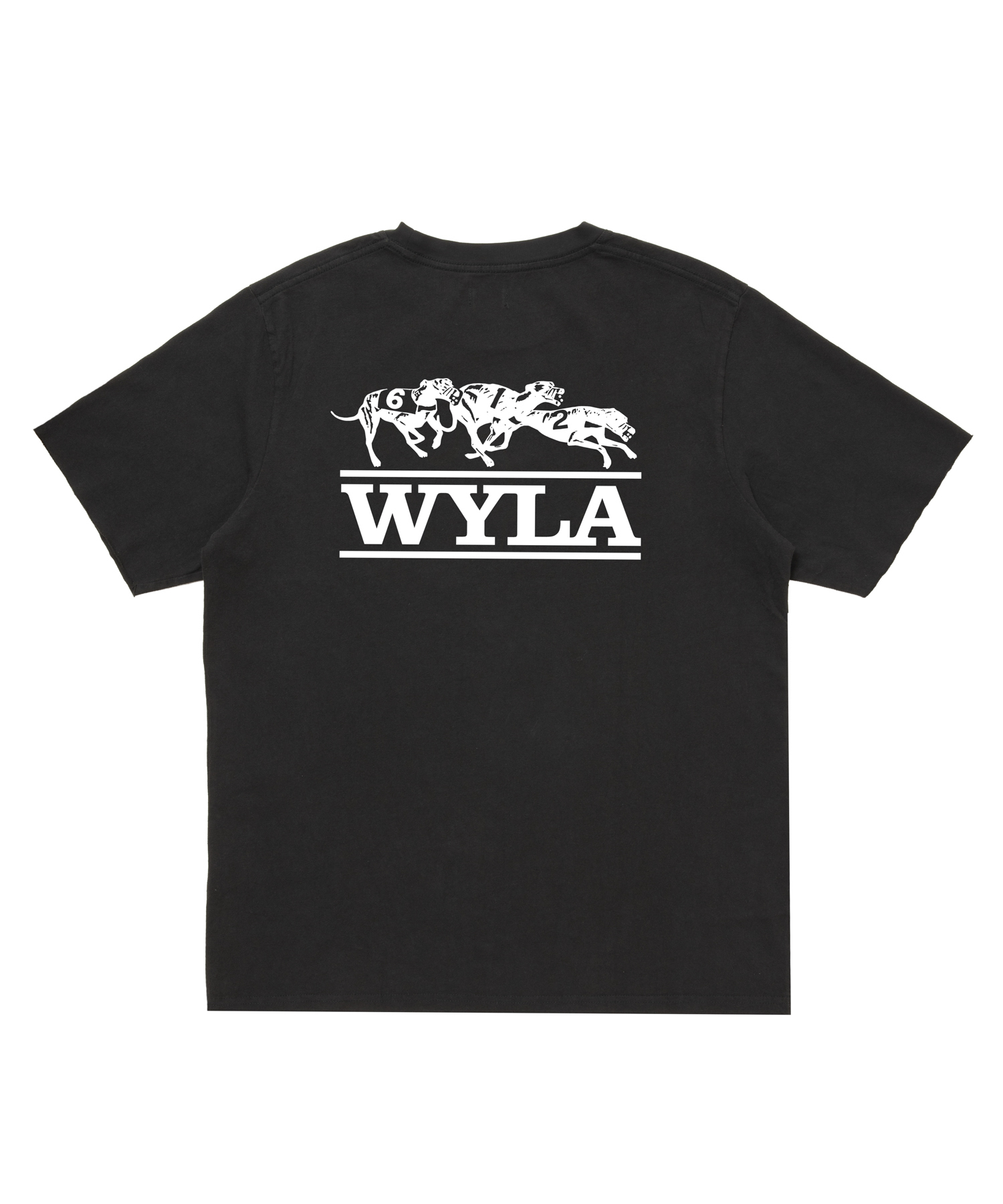 DOG TEE 商品写真 4