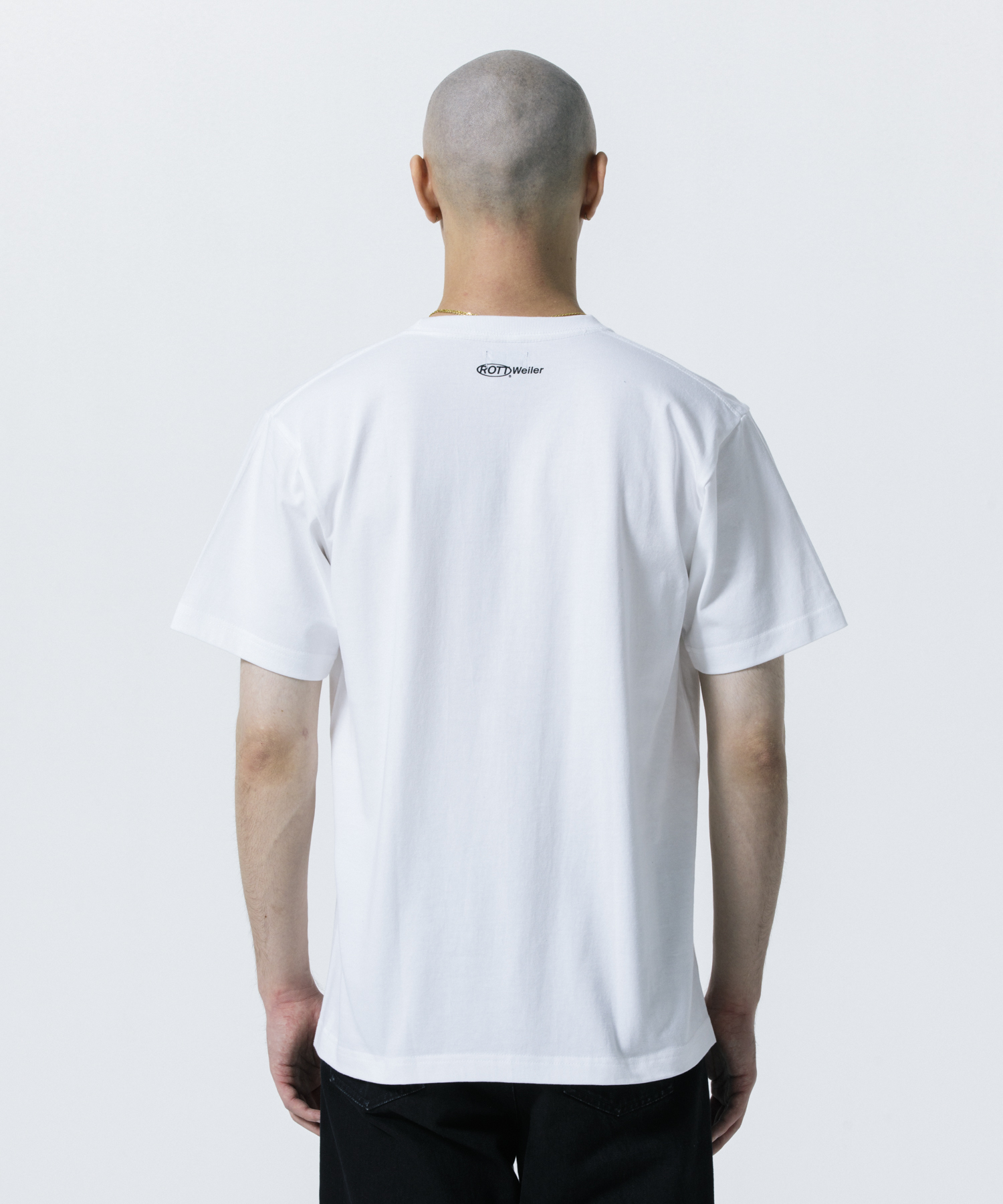 COLLEGE TEE モデル着用 12
